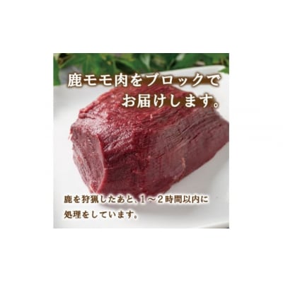 愛南ジビエ の 鹿 モモ 肉 800g ( 200g × 4パック ) 国産 天然 鹿肉 ジビエ 肉