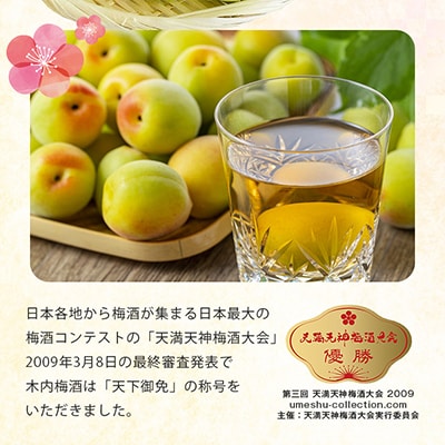 木内梅酒 3本セット 500ml×3本
