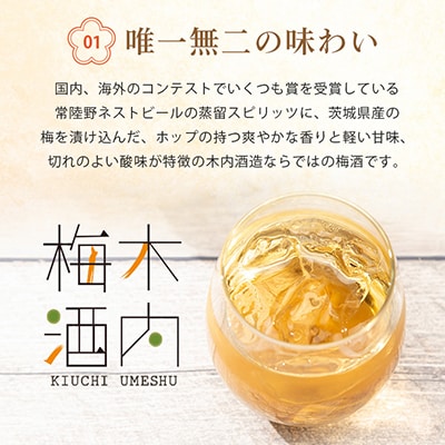 木内梅酒 3本セット 500ml×3本
