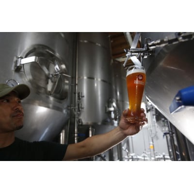 【冬季限定】常陸野ネストビール 賀正エール2026入り 4種飲み比べ 8本セット