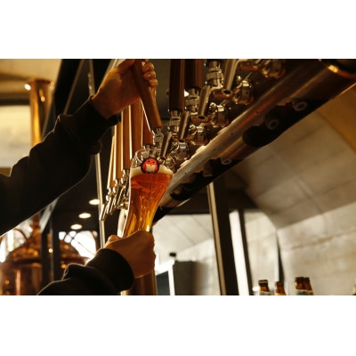 【冬季限定】常陸野ネストビール 賀正エール2026入り 4種飲み比べ 12本セット