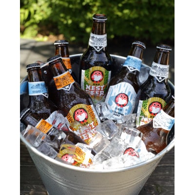 【毎月定期便】常陸野ネストビール定番飲み比べ12本セット全12回