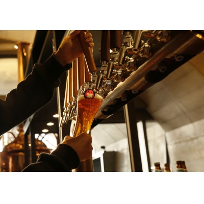 【毎月定期便】常陸野ネストビール定番飲み比べ12本セット全12回