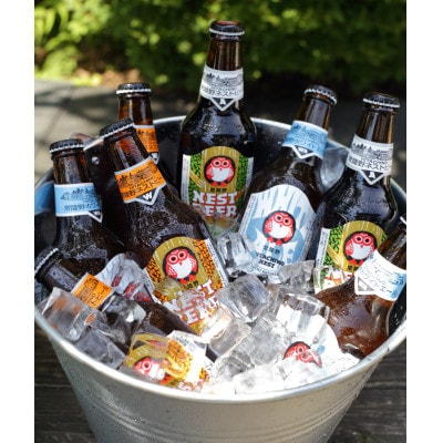 【毎月定期便】常陸野ネストビール定番飲み比べ12本セット全6回