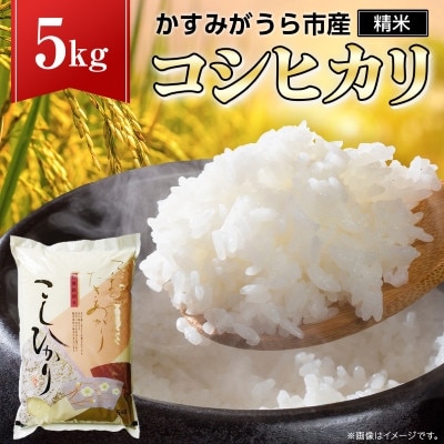 《 令和7年産 》 コシヒカリ 精米 5kg (茨城県共通返礼品 かすみがうら市)