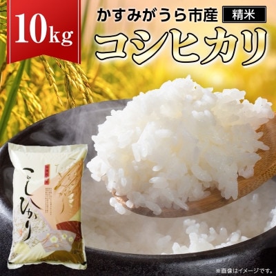 《 令和7年産 》 コシヒカリ 精米 10kg (茨城県共通返礼品 かすみがうら市)