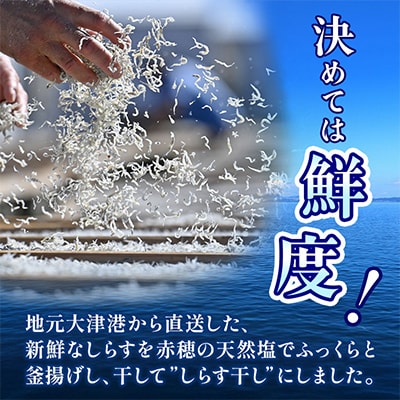 大津港水揚げしらす干し500g