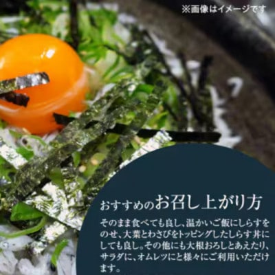 大津港水揚げしらす干し500g