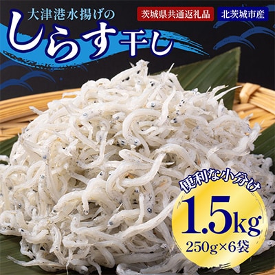 大津港水揚げしらす干し1.5kg(500g×3箱)