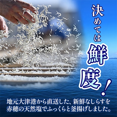 大津港水揚げの釜揚げしらす1kg(500g×2箱)