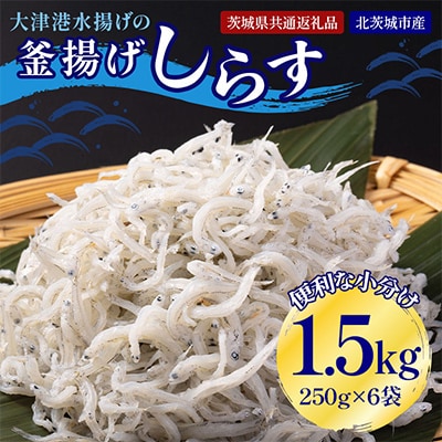 大津港水揚げの釜揚げしらす1.5kg(500g×3箱)