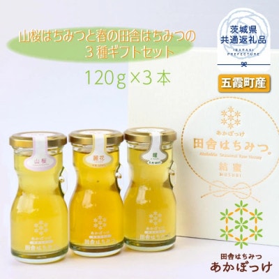 山桜はちみつと春の田舎はちみつの3種ギフトセット【R3山桜】【茨城県共通返礼品/五霞町】