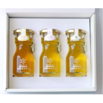 山桜はちみつと春の田舎はちみつの3種ギフトセット【R3山桜】【茨城県共通返礼品/五霞町】