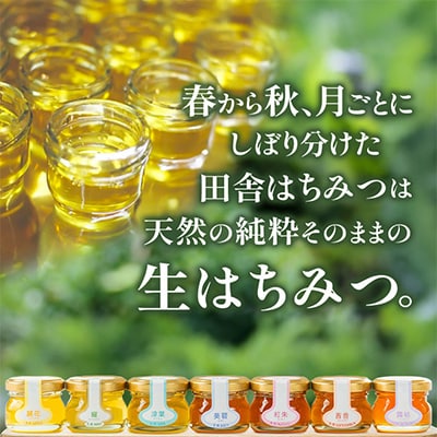 季節で移ろう田舎はちみつ7種ぷちギフトセット【結蜜Musubi-S7】【茨城県共通返礼品/五霞町】