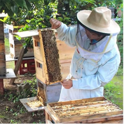 季節で移ろう田舎はちみつ7種ぷちギフトセット【結蜜Musubi-S7】【茨城県共通返礼品/五霞町】