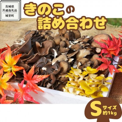 きのこの詰め合わせ Sサイズ(約1kg)【茨城県共通返礼品:城里町】