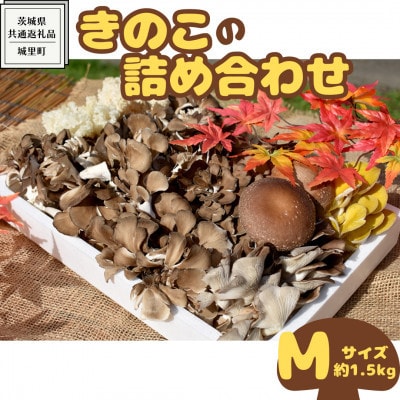 きのこの詰め合わせ Mサイズ(約1.5kg)【茨城県共通返礼品:城里町】