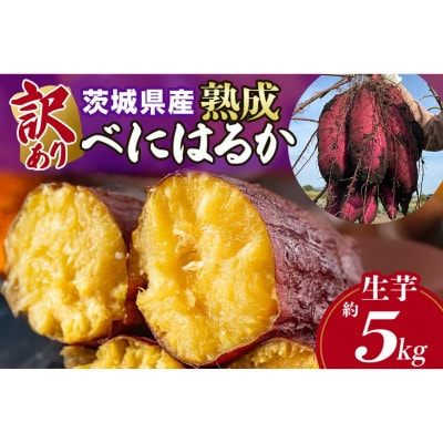 【訳あり】茨城県産 熟成紅はるか さつまいも 約5kg