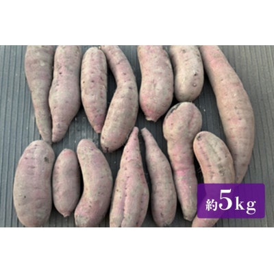 【訳あり】茨城県産 熟成紅はるか さつまいも 約5kg
