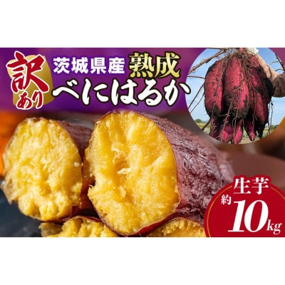 【訳あり】茨城県産 熟成紅はるか さつまいも 約10kg