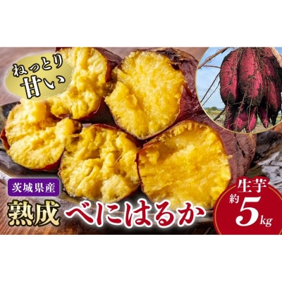 ねっとり甘い 茨城県産 熟成紅はるか さつまいも 約5kg