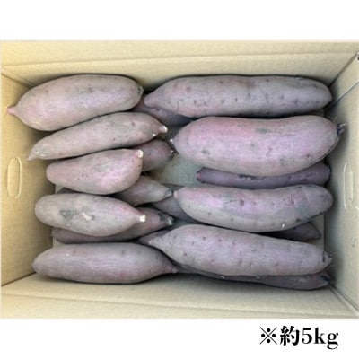ねっとり甘い 茨城県産 熟成紅はるか さつまいも 約5kg