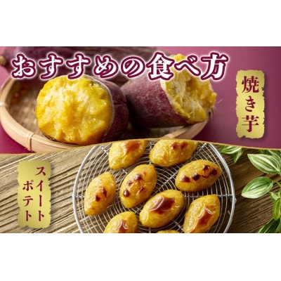 ねっとり甘い 茨城県産 熟成紅はるか さつまいも 約5kg