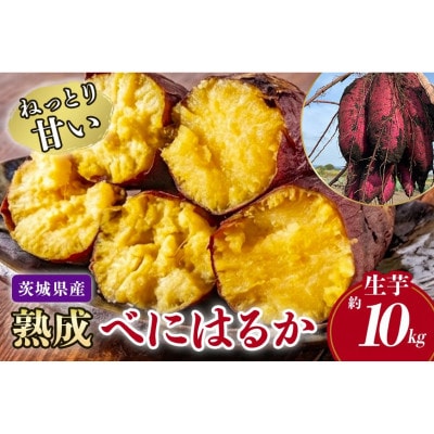 ねっとり甘い 茨城県産 熟成紅はるか さつまいも 約10kg