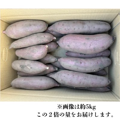 ねっとり甘い 茨城県産 熟成紅はるか さつまいも 約10kg