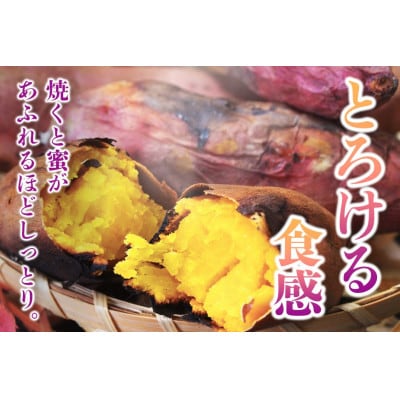 ねっとり甘い 茨城県産 熟成紅はるか さつまいも 約10kg