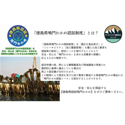 【徳島県認証】鳴門カットわかめ　10g×11袋
