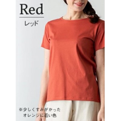 極上Tシャツ [レッド] ReMサイズ スピーマコットン 日本製 国産