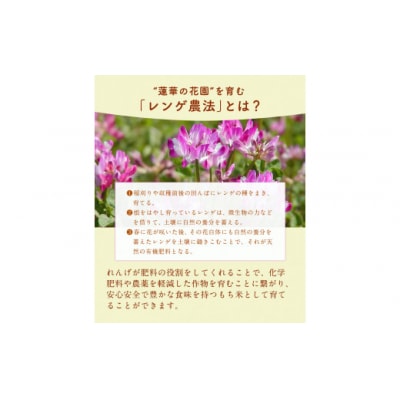 蓮華の花園(もち米) 10kg 精米 JAやつしろカントリー利用組合 熊本県 氷川町