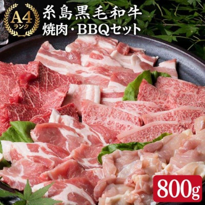 焼肉・バーベキューセット 計800g 牛モモ 牛バラ 豚バラ 豚肩ロース 鶏もも肉 [ACA010]