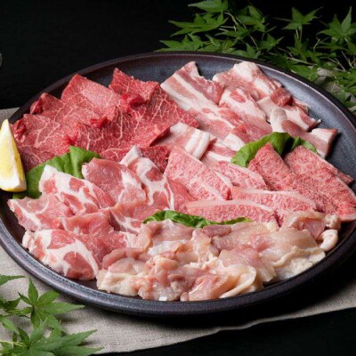 焼肉・バーベキューセット 計800g 牛モモ 牛バラ 豚バラ 豚肩ロース 鶏もも肉 [ACA010]