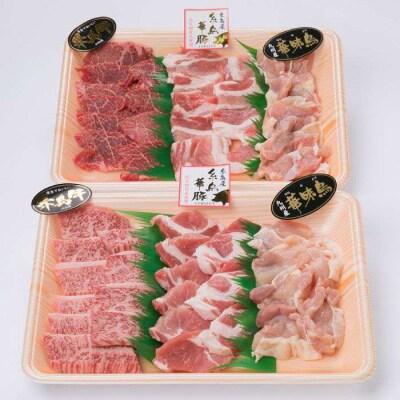 焼肉・バーベキューセット 計800g 牛モモ 牛バラ 豚バラ 豚肩ロース 鶏もも肉 [ACA010]