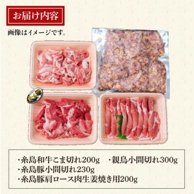 【全12回定期便】牛肉 豚肉 鶏肉 日常使いの精肉セット 930g 2-3人前4種[ACA195]
