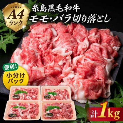 【250gの小分けパック】黒毛和牛 切り落とし 250g×4P 計1kg A4ランク[ACA031]