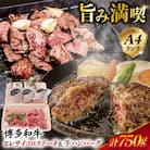 A4ランク博多和牛ヒレ肉サイコロ ステーキ 300g/生ハンバーグ150g×3個 [ACA052]