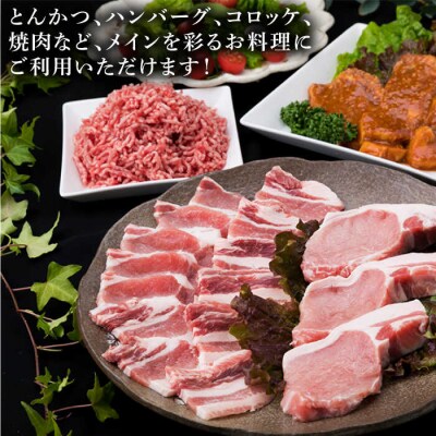 【全12回定期便】メインのおかずを彩る精肉セット4種(1,050g) 2、3人前 [ACA203]