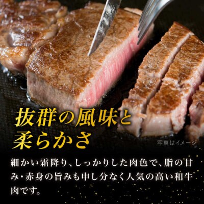 【厚切ステーキ】A4 ランク 黒毛和牛 サーロイン 280g【糸島ミートデリ工房】[ACA067]
