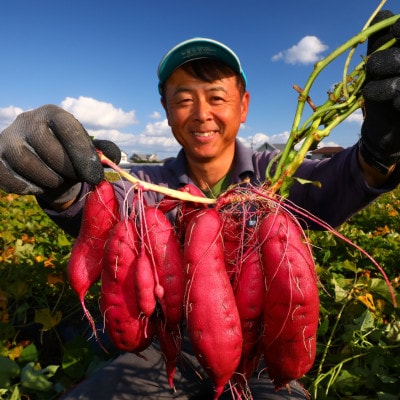 《3kg》さつまいも(なると金時)徳島松茂町産　M、Lサイズミックス10～16本程度