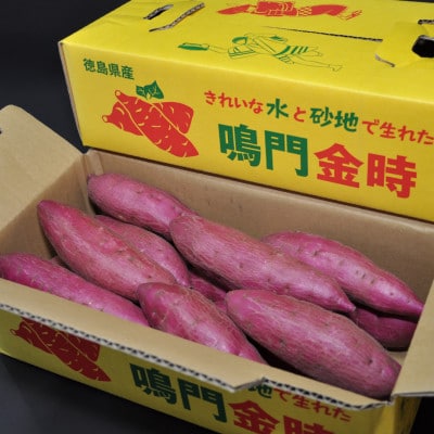 《3kg》さつまいも(なると金時)徳島松茂町産　M、Lサイズミックス10～16本程度