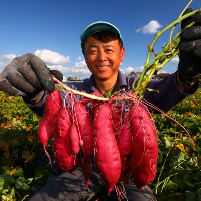 《5kg》さつまいも(なると金時)徳島松茂町産　M、Lサイズミックス18～28本程度