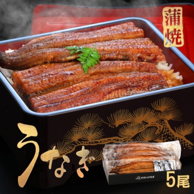 《5尾入》うなぎ蒲焼　化粧箱入り　地元老舗うなぎ加工会社より真空でお届け!