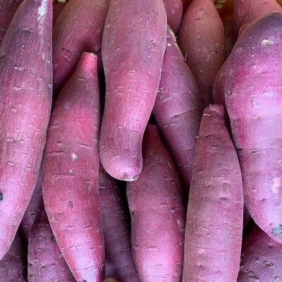 《1kg》松茂町産　喜来やさい園の熟成紅はるか