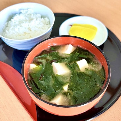 《250g×2》岩本水産　湯通し塩蔵わかめ　保存に便利なチャック付き