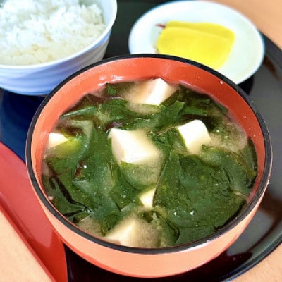 《250g×4》岩本水産　湯通し塩蔵わかめ　保存に便利なチャック付き