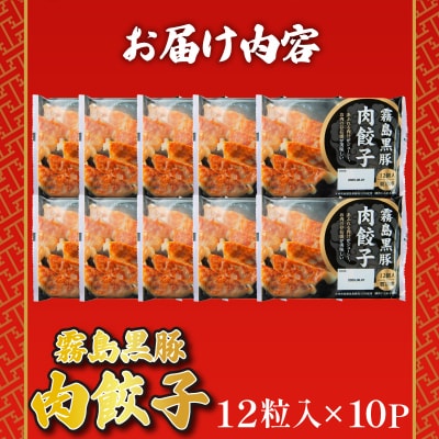 訳あり 霧島黒豚肉100%肉餃子 12粒×10パック(120粒) 冷凍 小分け 黒豚餃子 IR004