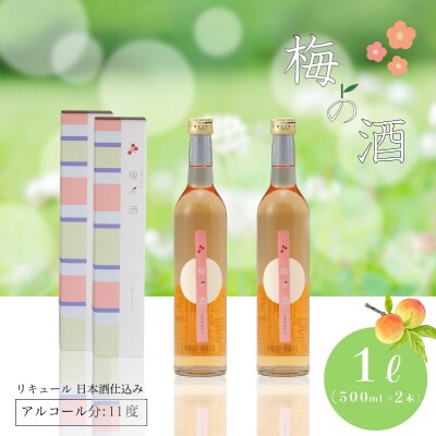 梅の酒 リキュール 500ml × 2本 EW140